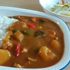 今日は　チキンと8種類の野菜カレーの日！