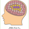 語学オタクの頭の中って？いつも何考えてるの？語学オタクの脳内をご紹介！
