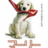 DVD / マーリー 世界一おバカな犬が教えてくれたこと