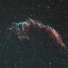 IC1340 はくちょう座 網状星雲