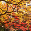 秋の北海道