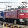 以外と少なかったEF510の秋田配給