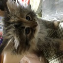 ADIブログ