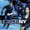 CSI:NY S6 #22　覗き見　Point of View