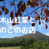 岩木山は紅葉シーズン♪直売所の四季彩館と野市里でサモダシとナメコを売っていました