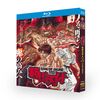 範馬刃牙 Blu-ray BOX 第1+2期 TV版全39話+劇場版 ブルーレイ 完全版