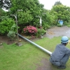 雨の中、ポールを建てます。