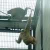 ２０２２／０６／２１　東武動物公園