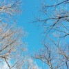 人間関係を円滑にするために、自分に損な役回りをあてがっていないか？