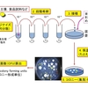 バクテリアの計数と一般細菌