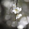 「増税延期がリスク」だなんて、とんでもない。「お上の論理」にNOを！[HRPニュースファイル1967]