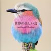偉大すぎる…アメリカで76匹の子ガモを連れる母ガモが目撃される❗️❗️