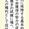  いま読む日本国憲法（５８）第５８条　基本的人権を念押し - 東京新聞(2017年8月10日)
