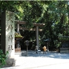 大神神社写真館（８/１０）