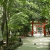 初夏の京都 ・洛北パワースポット巡り『下鴨神社摂社・河合神社』