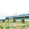 続・アンパンマントロッコ列車
