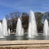 お花見に上野公園は非常におすすめ