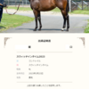 DMMバヌーシーで『スウィッチインタイム2023』に一口噛みつつ、他の馬にも一口噛んで気づいたら出資馬が８頭になっていました