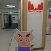 クレヨンしんちゃん聖地《サトーココノカドー》閉店当日の様子 〜さよならイトーヨーカドー春日部店😢〜