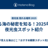 光る海の秘密を知る！2025年の夜光虫スポット紹介