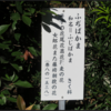 万葉集の世界に飛び込もう（その３２０２）―万葉一日一葉　国分寺万葉庭園（７０）―ふぢばかま