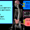 頭脳を休めて腹脳を生かす作戦へ転向できないか、探ってみる