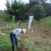 しまだ環境ひろば塾・静岡県緑化推進協会行事　　「ドウダンツツジを植えよう」