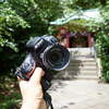 コシナ フォクトレンダーのCOLOR-SKOPAR 28mm F2.8 Aspherical SL IIsをニコンD810につけてスナップ撮影してきた。