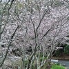 スマホ騒動記