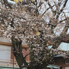 2025-03-28(Fri)