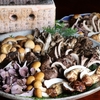 肴の天然きのこ料理【秋限定！天然きのこ炭火焼コース】大好評！！