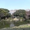 博物館でお花見を　2010　(東京国立博物館)