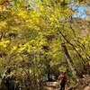 多良岳…紅葉を見てきました…