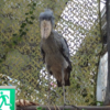 兵庫｜神戸どうぶつ王国 歩く足元に動物発見