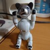 AIBO…