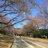 今日の駒沢公園