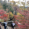高尾山に紅葉を見に行ってきた！