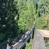 【高所・自然好き必見】バンクーバーの観光スポット、Capilano Suspension Bridgeをレビュー！