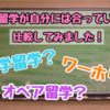語学留学、ワーホリ、オペア留学どれが良いか分からない。お金や生活面について徹底比較してみました！