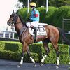 次走は１６日の新潟・芝１４００ｍを予定しています。☆ミスビアンカ＆カラパタール