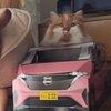 車を乗りこなす。