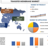 転写膜市場規模、シェア、成長および成長2030年までの予測