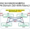 Meraki MXのBGPのAS番号は 、Auto VPN Domain (SD-WAN Fabric)全体でひとつ