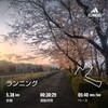 休日日記32　4/6　昨日に引き続き花見パトロールラン