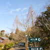 「NOKTON 21mm 1.4 Asph. E-mount」試し撮り Ⅲ