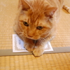 2014クリパン授賞式