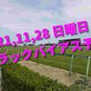 2021,11,28 日曜日 トラックバイアス予想 (東京競馬場、阪神競馬場)