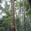 貴方らしくあること