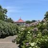 【茨城】子供とのお出かけに♪歩崎公園と周辺のおすすめスポット！