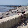 2013/05/08　(131km )知多半島中央ルートと市場食堂